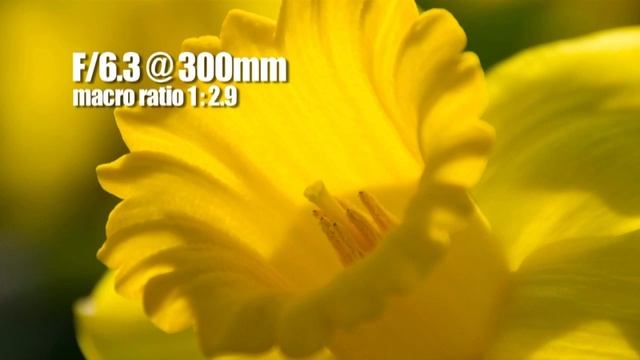 Новейший суперзум Тамрон 16-300 смотреть онлайн