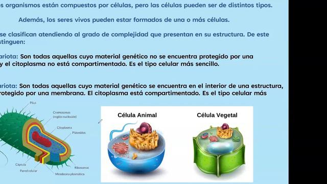 📚 BIOLOGÍA: CLASE #2 -- ✅ CURSO PARA INGRESO A UNIVERSIDAD ✅ смотреть онлайн