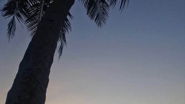 I Love Myself Unconditionally - Meditation for Self-Love • Ananda Within You (5 min) смотреть онлайн