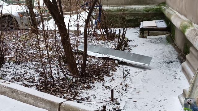 Сорока, полевые воробьи и больше синицы кушают семечки смотреть онлайн