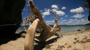 Laid Back - Happy Dreamer