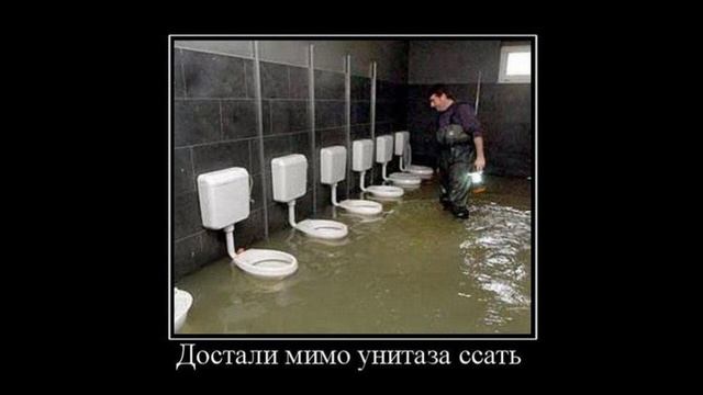 Шведский пиТарас поёт любиму пэсню смотреть онлайн