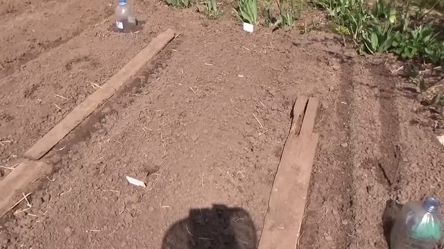 Моя дача в мае. смотреть онлайн