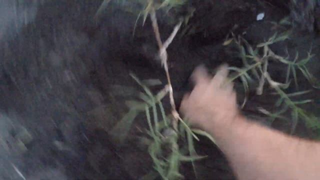 АРМАТА 150 металлоискатель черный ферритовый песок смотреть онлайн