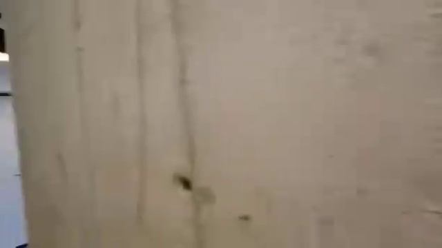 Сиверса 28, 1 комн., 11 этаж смотреть онлайн