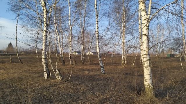 5 апреля. ДЕНЬ НИКОНА. Народный праздник. Приметы. Поверья. смотреть онлайн