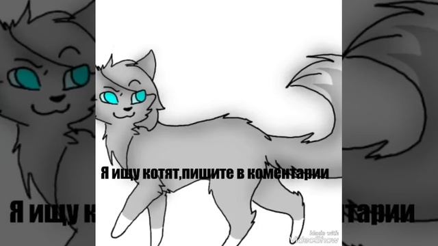 Я ищу котят смотреть онлайн