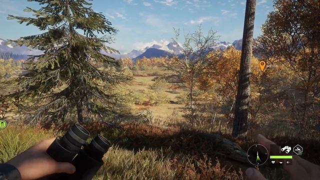 TheHunter Call Of The Wild || Ultimate Beginners Guide For 2022