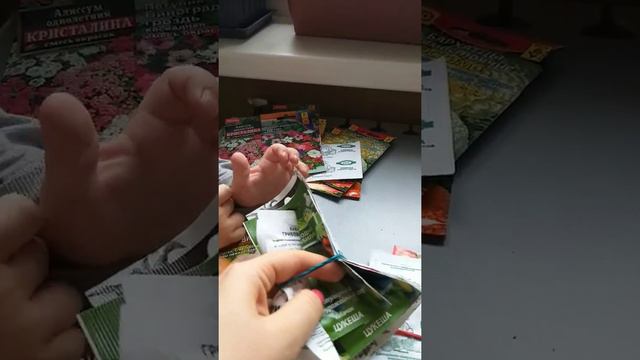 Семена 2020. Обзор семян от мамыНасти😋4 марта 2020 г.