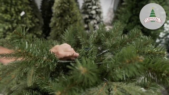 CRYSTAL TREES | Обзор | Ель "Маттерхорн" смотреть онлайн