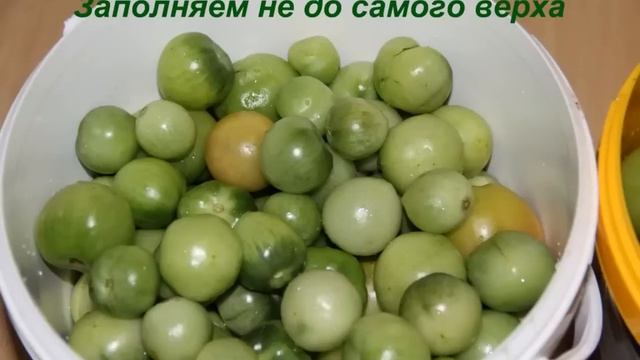 Бочковые квашеные зелёные помидоры смотреть онлайн