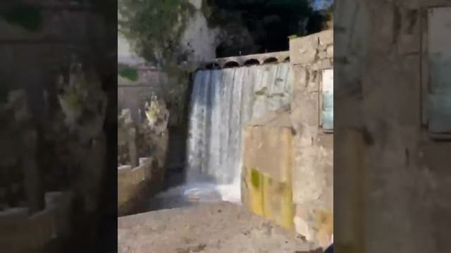 Самшитовая Роща. Экскурсии в праздничные дни смотреть онлайн