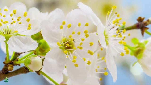 Красивая расслабляющая музыка - хватит думать, музыка для снятия стресса, музыка для сна #1 смотреть онлайн