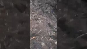 Видео от первого лица. Всё как есть  в реальности на СВО.