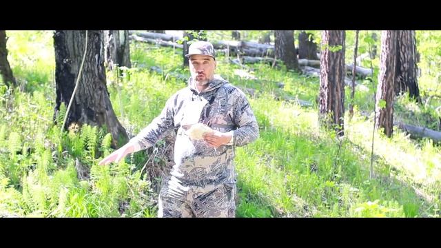 Солонец или как повысить посещаемость