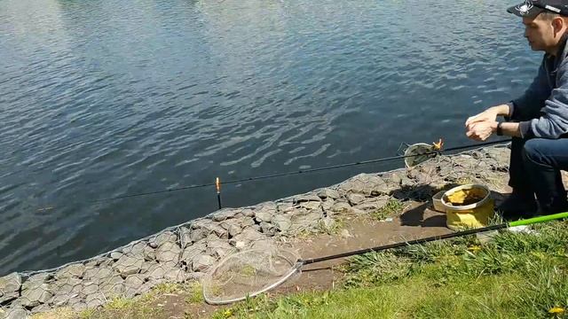 ?ОТКРЫВАЮ СЕЗОН - РЫБАЛКА 2022 - ЛОВЛЯ ЛЕЩА И ПЛОТВЫ?РЫБАЛКА НА ФИДЕР? смотреть онлайн