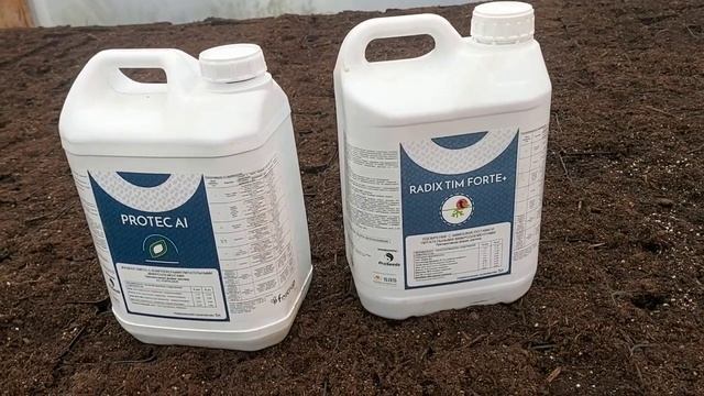 ПИКИРОВКА огурца 2022 смотреть онлайн