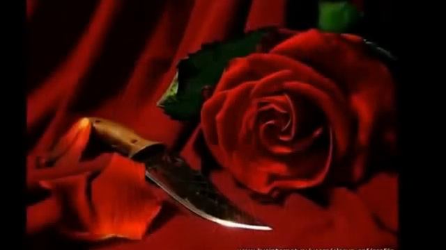 Любит, не любит - Песни под гитару смотреть онлайн