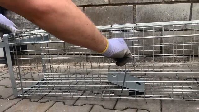 Profesionální odchytová past na kuny, kočky, psy, vydry, bobry, lišky H118x34x34V2 смотреть онлайн
