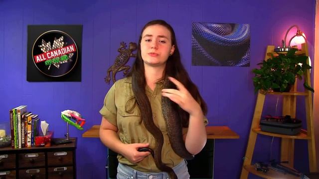 8 Biggest Snake Myths Debunked!! смотреть онлайн