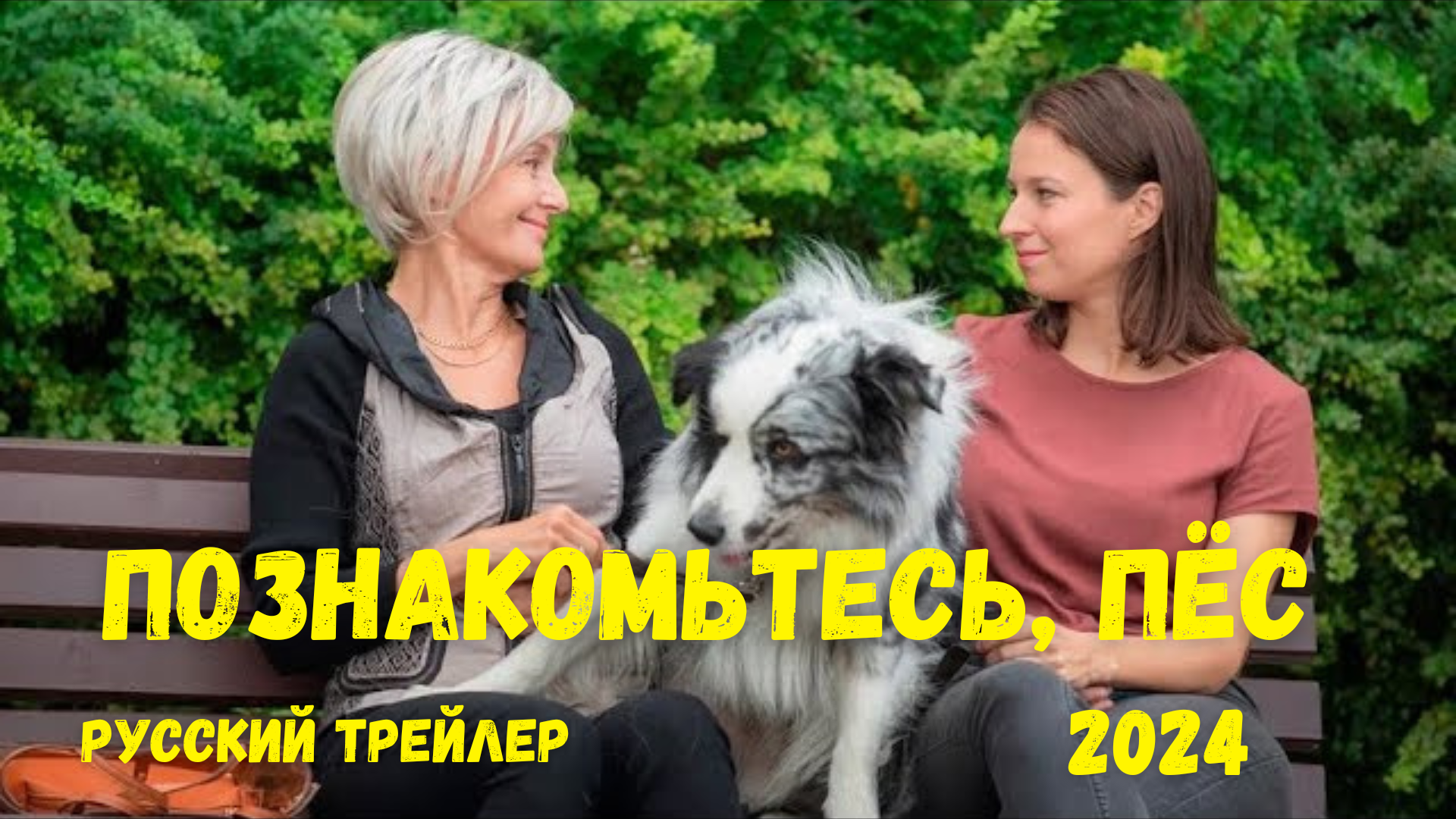 Познакомьтесь, пёс (2024) - Русский трейлер смотреть онлайн