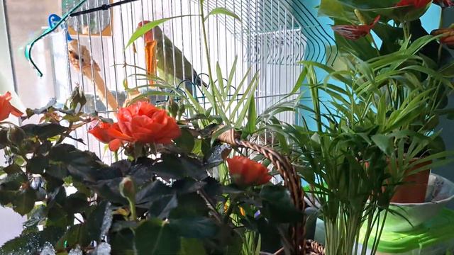 Творю- вытворяю, колдую - гадаю)))