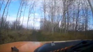 Как я собирал опята