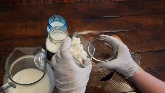 Starting your very first batch of Milk Kefir смотреть онлайн