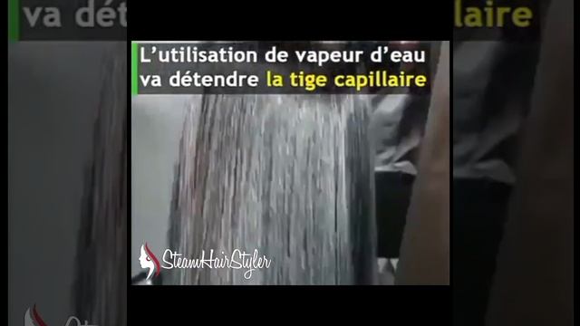 STEAMHAIRSTYLER - Lisseur Vapeur Professionnel