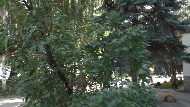 Для тех кто уехал из Нальчика, обзор улицы Кирова "Орбита" смотреть онлайн