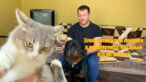 Ротвейлер пришел к коту, которого еще не принял