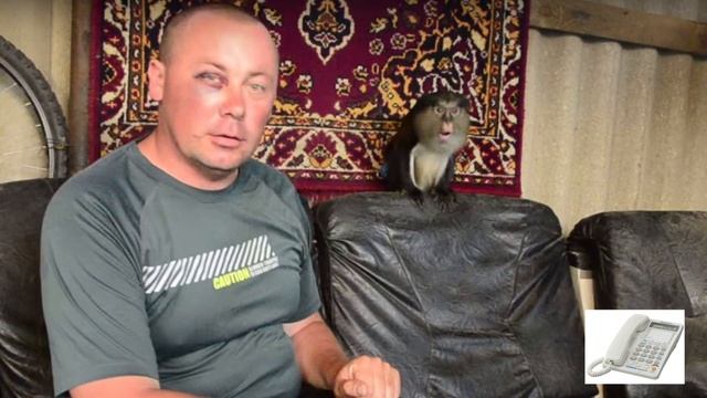 Телефонный разговор: депутат от Судака угрожает смотреть онлайн