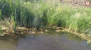 400 КГ МЕТАЛЛА В ВОДЕ,ПОИСК С МАГНИТОМ В ВОДЕ