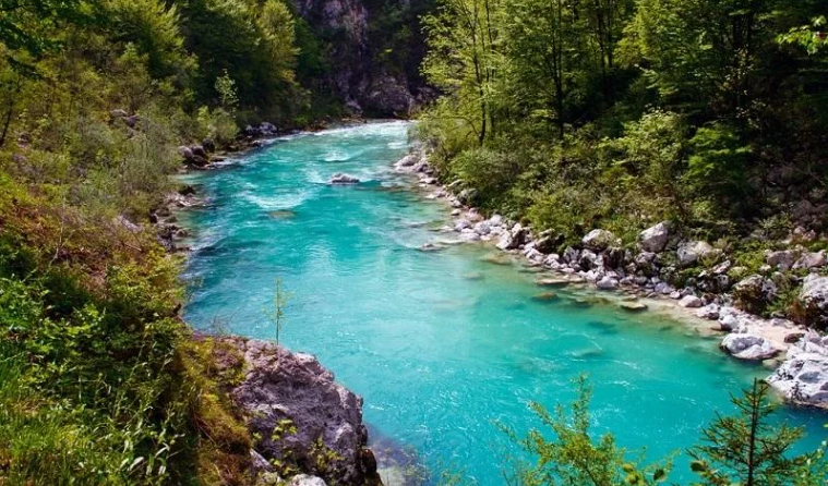 Мирное течение реки. Красивая бирюзовая вода ✦ Звуки леса и пение птиц ✦ Relax Sleep смотреть онлайн
