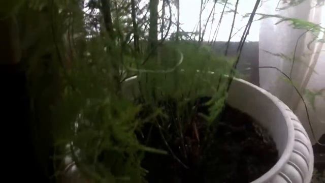 Навожу марафет - парикмахерская Чародейка смотреть онлайн