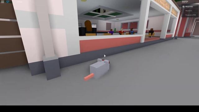 How to become a rat in Cook Burgers for free (ROBLOX) смотреть онлайн