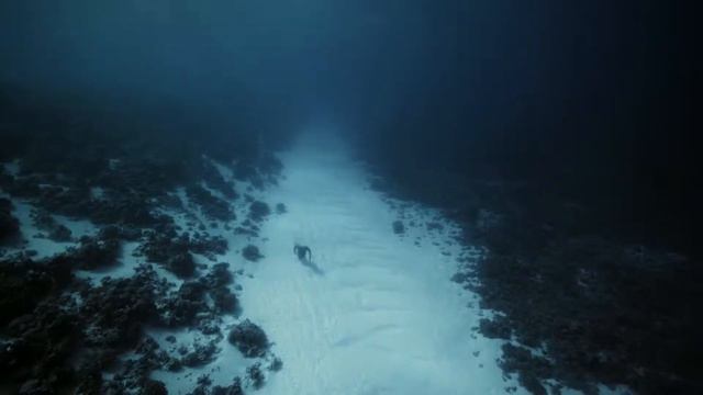 Guillaume Néry - One breath around the world смотреть онлайн