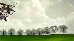 Стихи для детей?выпуск2