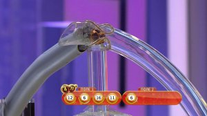 Гослото 4 из 20 тираж №19 от 12.02.2017