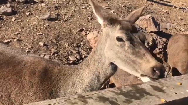Испания чем заняться, что посмотреть смотреть онлайн