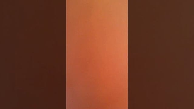 Убираем сажистый грибок на листьях орхидеи