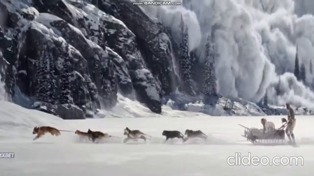 Собаки спасают людей смотреть онлайн