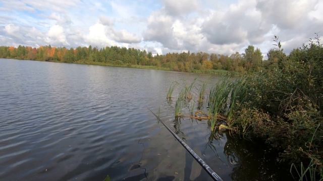 Осенний карась. Жирный. смотреть онлайн