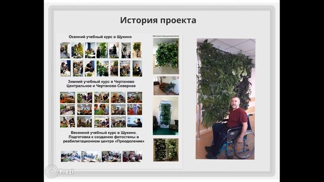 Презентация проекта "Зеленая комната" смотреть онлайн