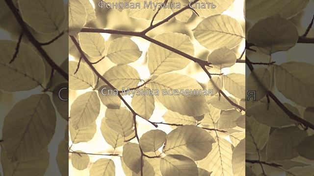 Атмосфера (Расслабление)