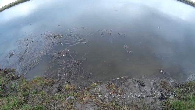 Рыбалка на рыболовный подъёмник. Рыбалка спиннингом на карася смотреть онлайн