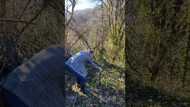 Вода на участке в Сочи. Рабочий день на земле. смотреть онлайн