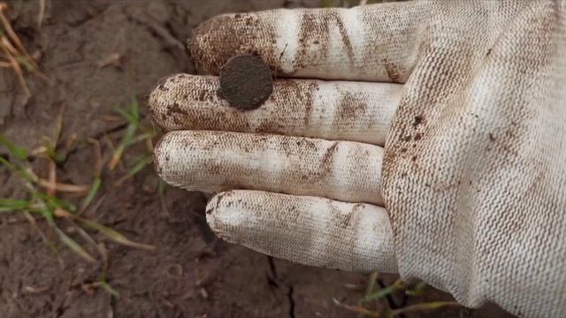 Благовещение, коп удался, зачётные находки!