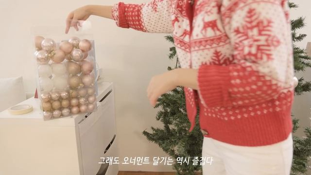뉴욕 일상 브이로그 / 뉴욕 집 꾸미기, 크리스마스 장식, 장보기, 브룩클린 브런치, 서점구경, 도서관, 뉴욕증권거래소 트리구경, 집밥, 고양이, 페리타기, 미국 직장인 프리랜서 смотреть онлайн