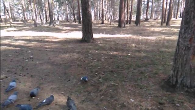Пришельцы в парке дк Современник смотреть онлайн